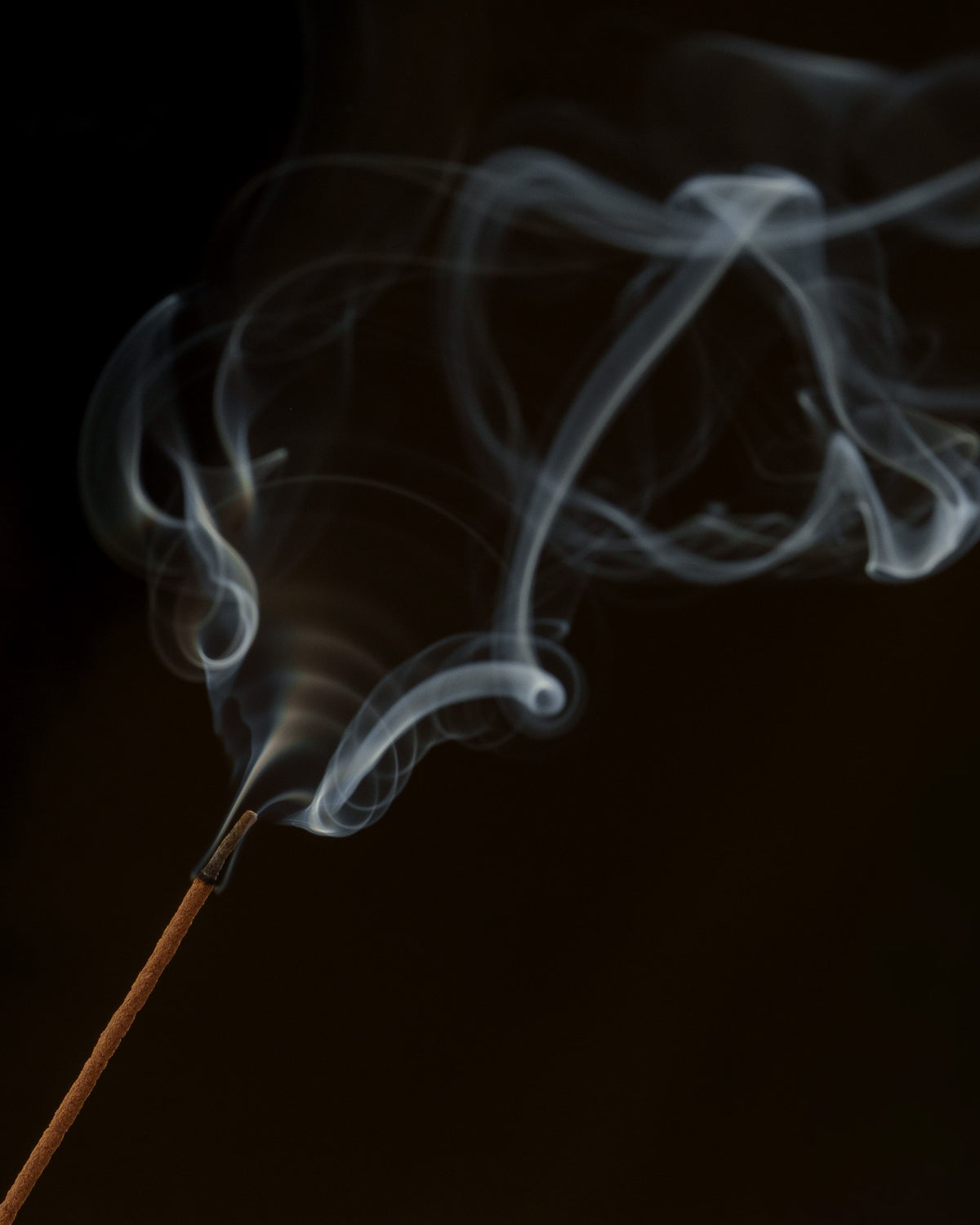 Cypress Incense | Wood-thumbmail-7